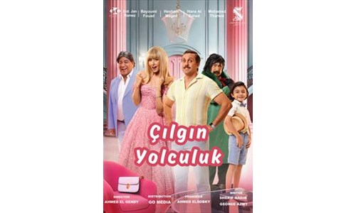 ÇILGIN YOLCULUK